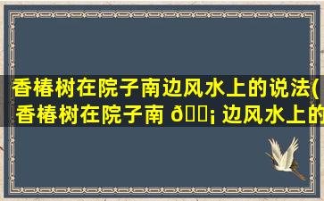 香椿树在院子南边风水上的说法(香椿树在院子南 🐡 边风水上的说法有讲究吗)